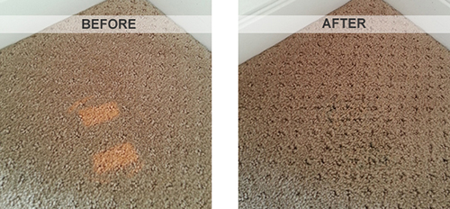 Bonzer carpet cleaning Knoxfield