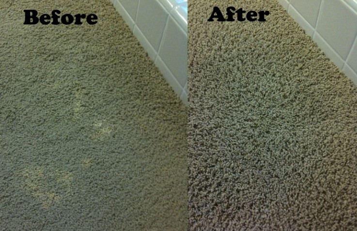Bonzer carpet cleaning Knoxfield