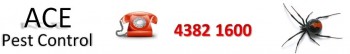 Ace Pest Control