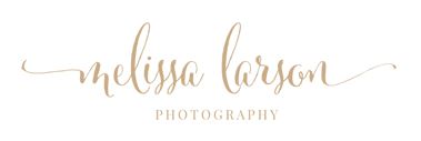 Melissa Larson Photography