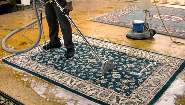 Connect with the perfect carpet cleaning