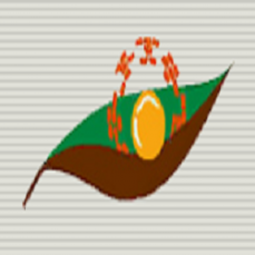 Brisbane Structural Service