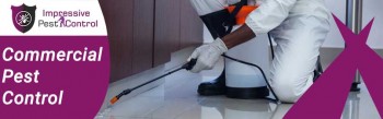 Impressive Pest Control Melbourne