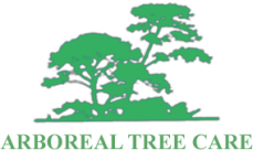 Arboreal Tree Care Pty Ltd