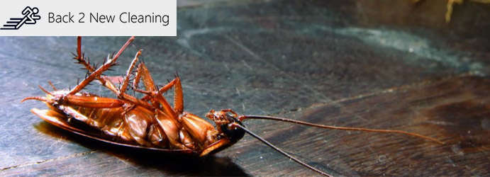 Back 2 New Pest Control Brisbane