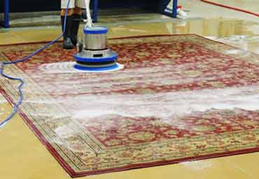 Carpet Bleach Spot & upholstery Cleaning