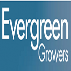 Evergreen Growers