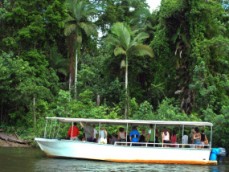 Daintree Tourism