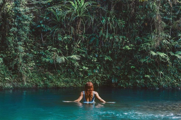 Daintree Tourism