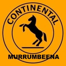 Car Service Murrumbeena