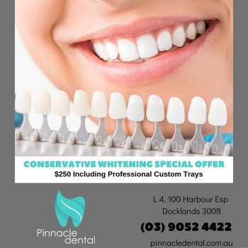 Pinnacle Dental