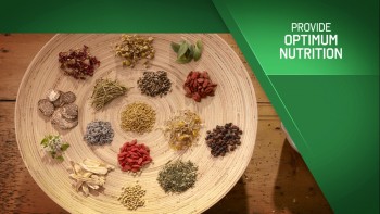 Get the Best Hair Loss Treatment in Adelaide