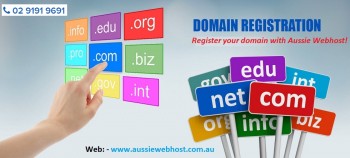 How To Transfer Or Renew Domain Name?