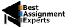 Best Assignment Experts