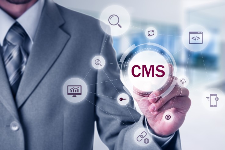 What is CMS in HTML? 