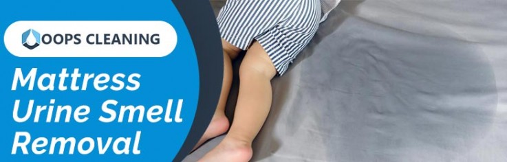 Mattress Cleaning Hobart