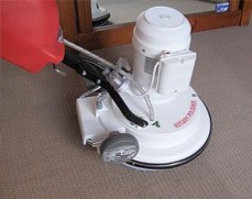 carpet cleaners in sydney