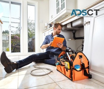 The Best Handyman, Landscape and Building Maintenance Services