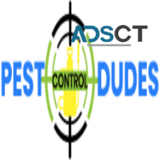 Ant Control Melbourne