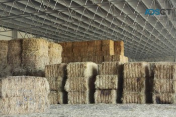 Steel Hay Sheds and Barns Design and Construction – Entegra