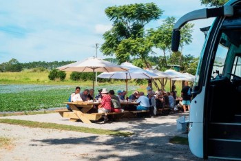 Hinter - Coast Transport