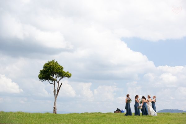 Hinter - Coast Transport