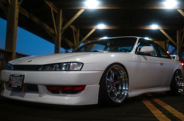 Mini Koala Car Rental