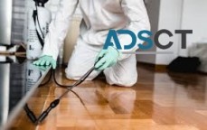 Ant Control Canberra