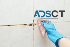 Tile and Grout Cleaning Hobart