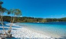 Awesome Campervan & Van Hire