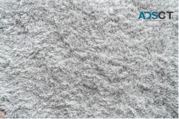 Best Carpet Repair in Canberra - Fill Carpet Repair Canberra