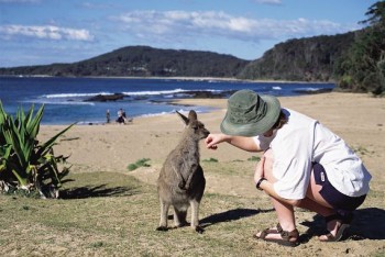 Mighty Cars & Campers