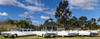 Ace American Convertibles