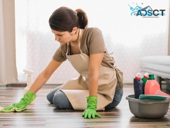 Choice Bond techniques for Pest & Carpet cleaning