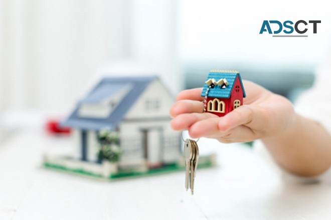 Real Estate Agents Helping With a Network of Buyers and Sellers