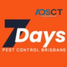 Pest Control Brisbane