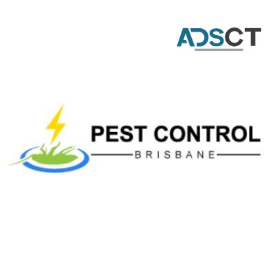 Pest Control Brisbane