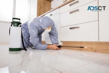 SES Termite Control Perth