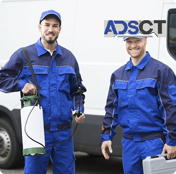 Pest Control In Melbourne
