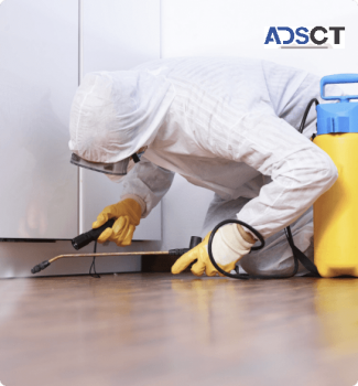 Possum Removal Professionals In Melbourne