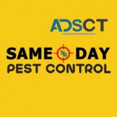 Local Pest Control Perth