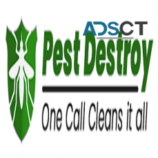 Pest Control Service Adelaide