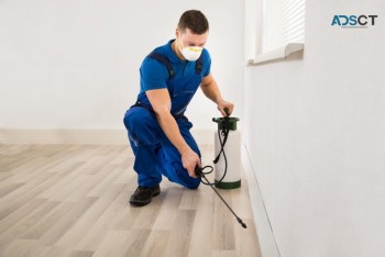 Pest Control Service Adelaide