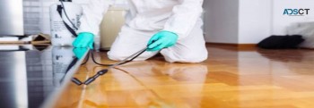 Pest Control Service Perth