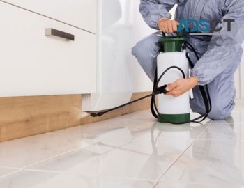 Pest Control Service Perth
