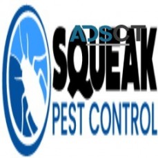 Pest Control Service Perth