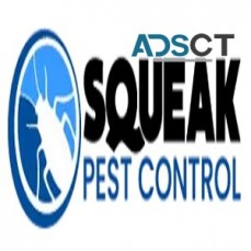 Pest Control Service Sydney