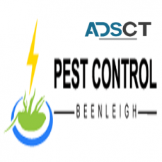 Pest Control Service Beenleigh