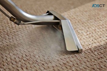 Commercial Carpet Cleaning Services