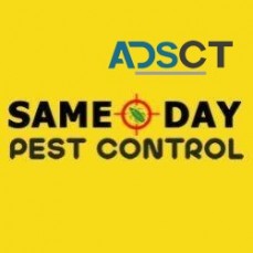 Same Day Pest Control Adelaide